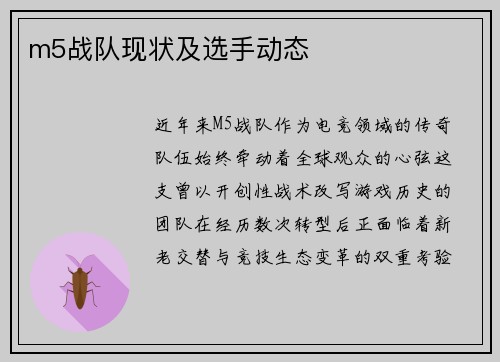 m5战队现状及选手动态